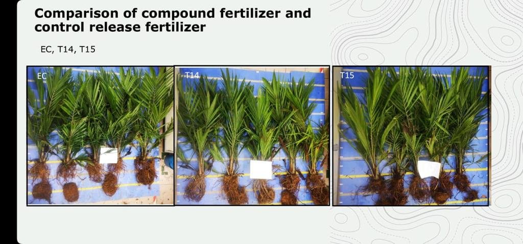 WhatsApp Image 2023-11-16 at 08.25.42_8d58a3dd